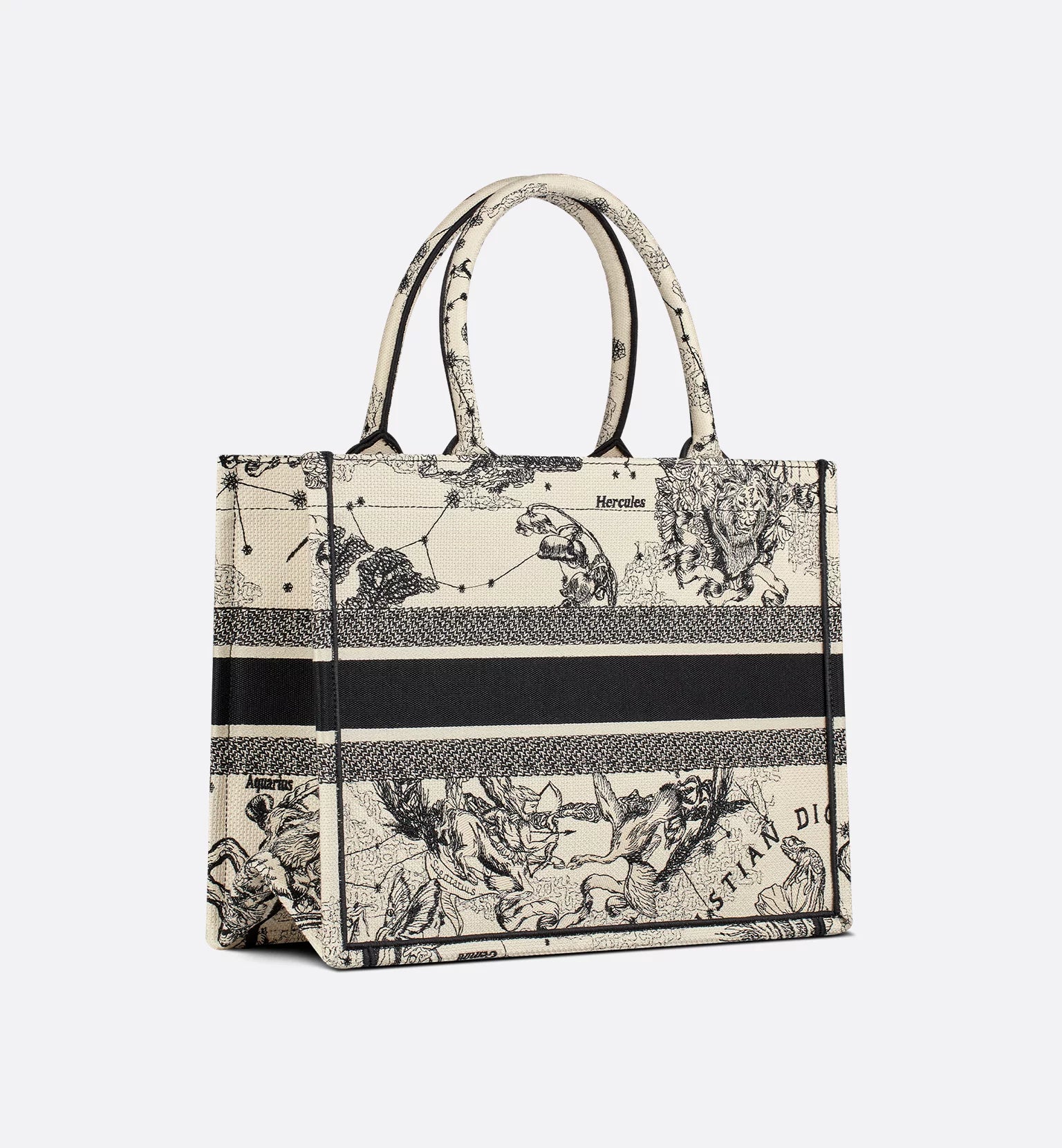 Dior Zodiac Book tote Medium *brand new*